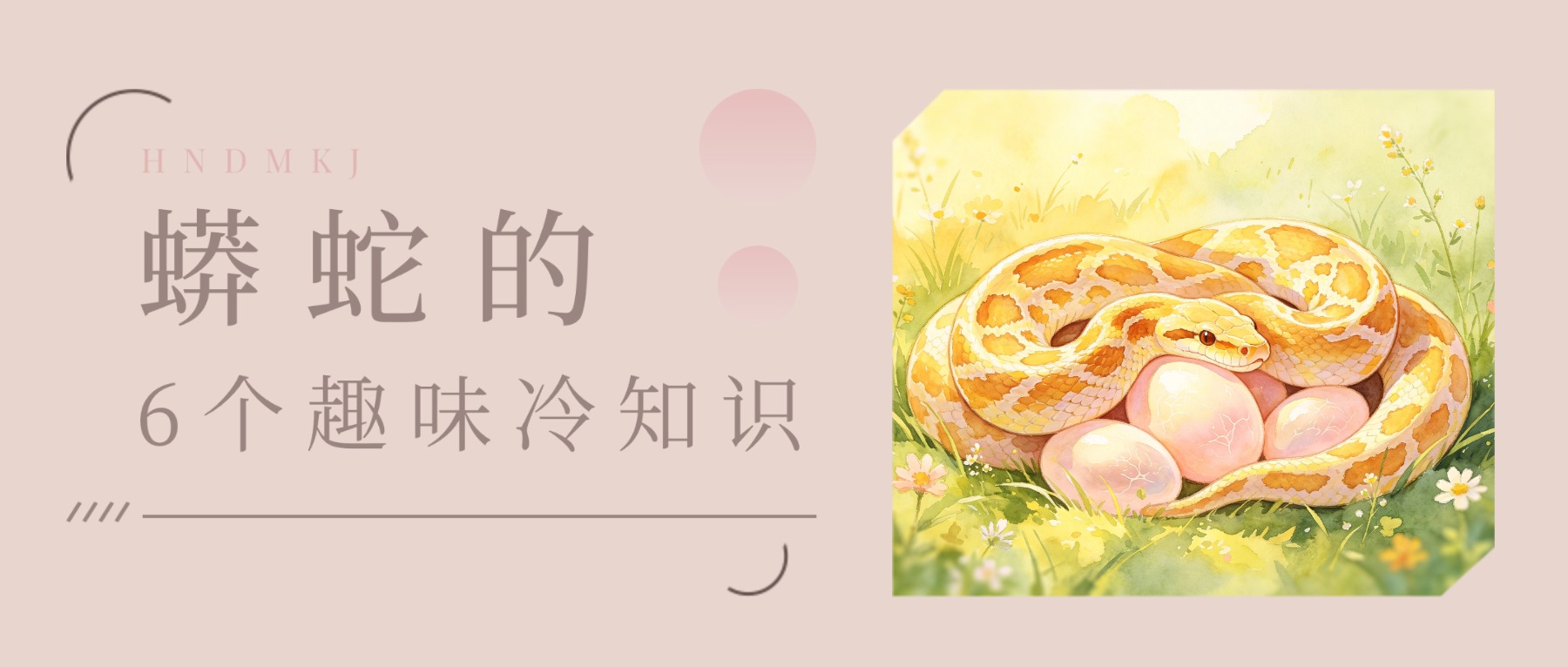 冷知识.jpg